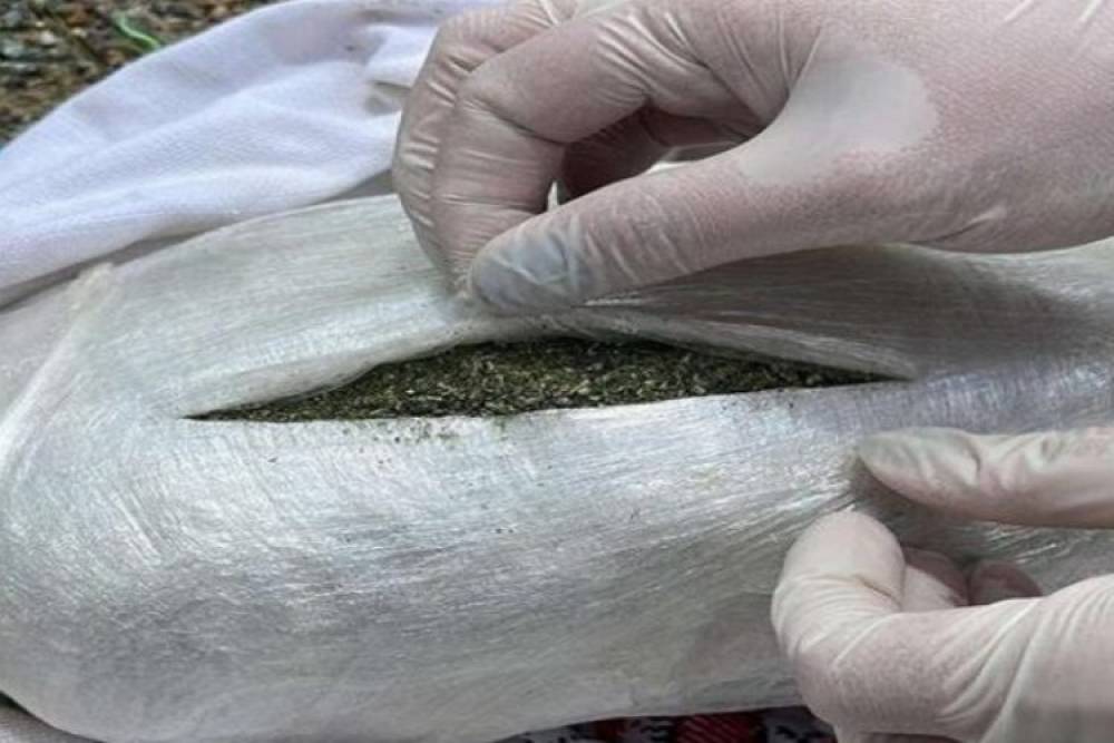 Bingöl’de Menfez Altındaki Esrar Kaçakçılığı Engellendi!