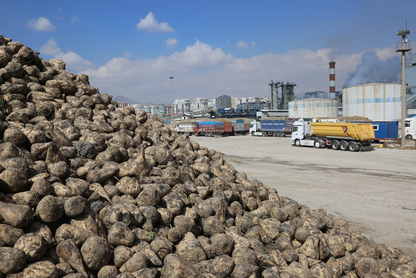 &Uuml;retici ortaklara pancar bedelleri &ouml;deniyor