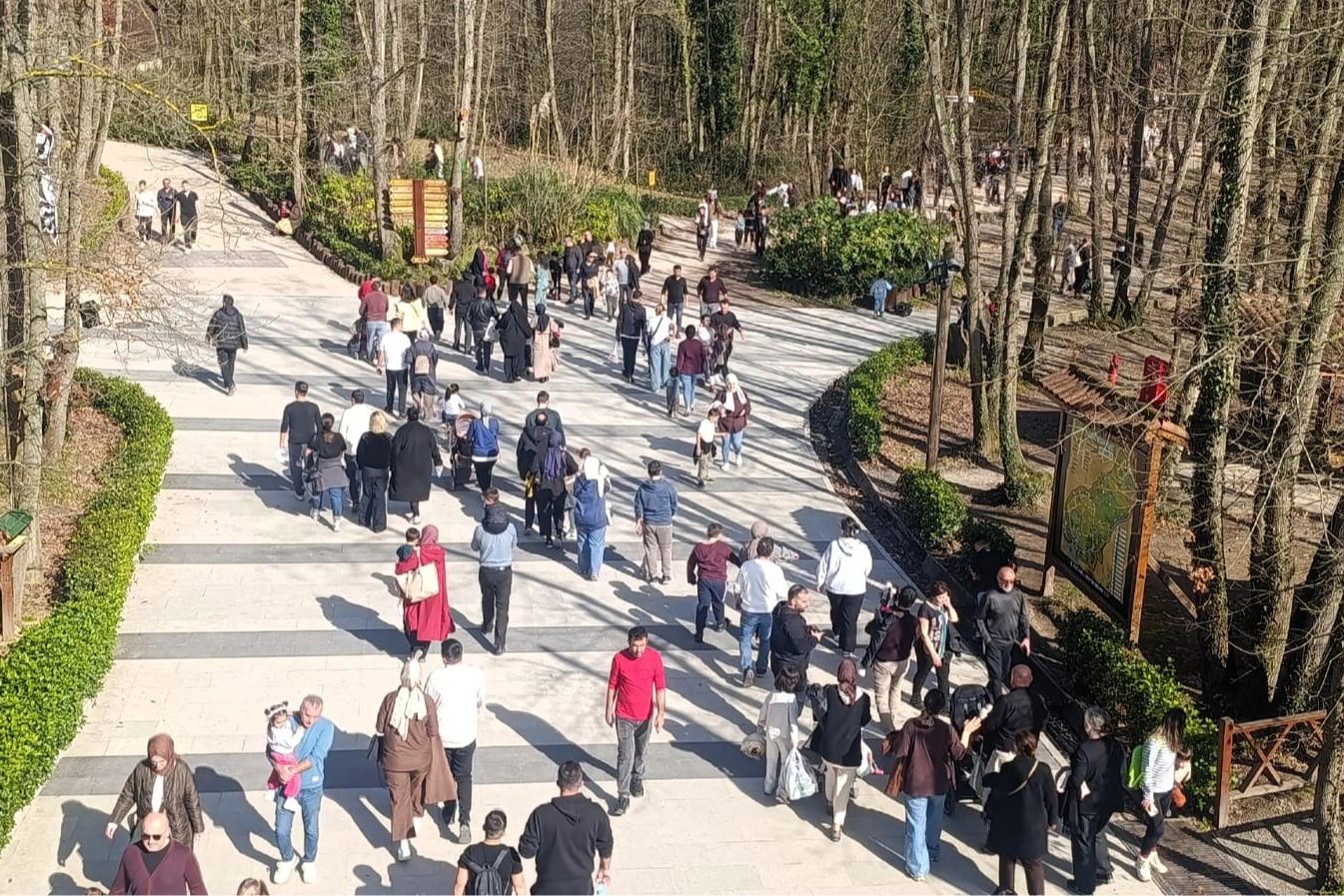 G&uuml;zel havanın rotası Ormanya oldu