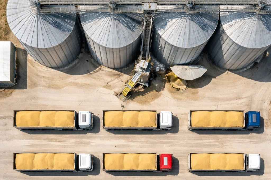 TMO&rsquo;dan buğday satışı... 1,2 milyon ton stok g&uuml;nl&uuml;k a&ccedil;ık artırmada