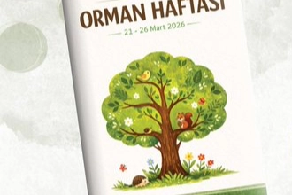 MEB&rsquo;den &ldquo;Orman Haftası&rdquo; i&ccedil;in okul &ouml;ncesi etkinlik takvimi