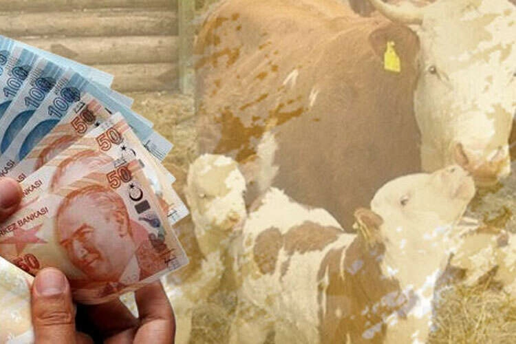 &Ccedil;ift&ccedil;iye 350,9 milyon TL destek &ouml;demesi hesaplarda