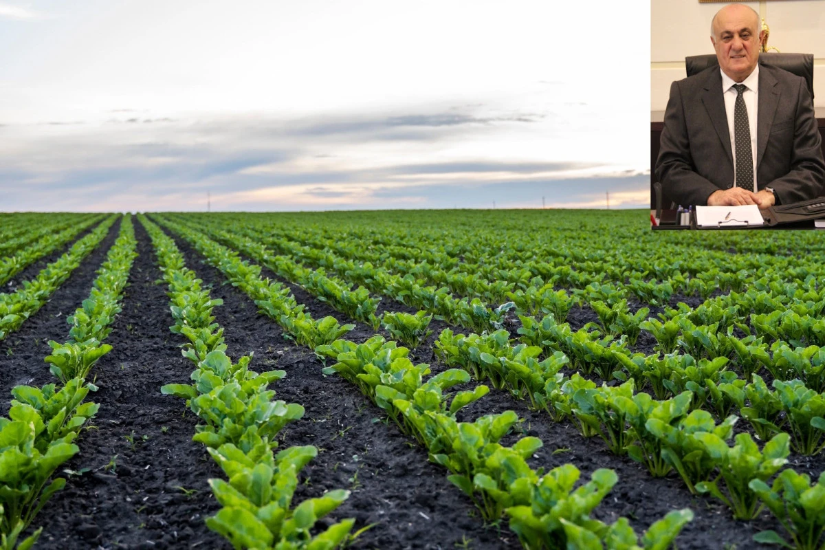 Başkan Erkoyuncu, Konya Ovası&rsquo;nın Aldığı Yağışı Değerlendirdi