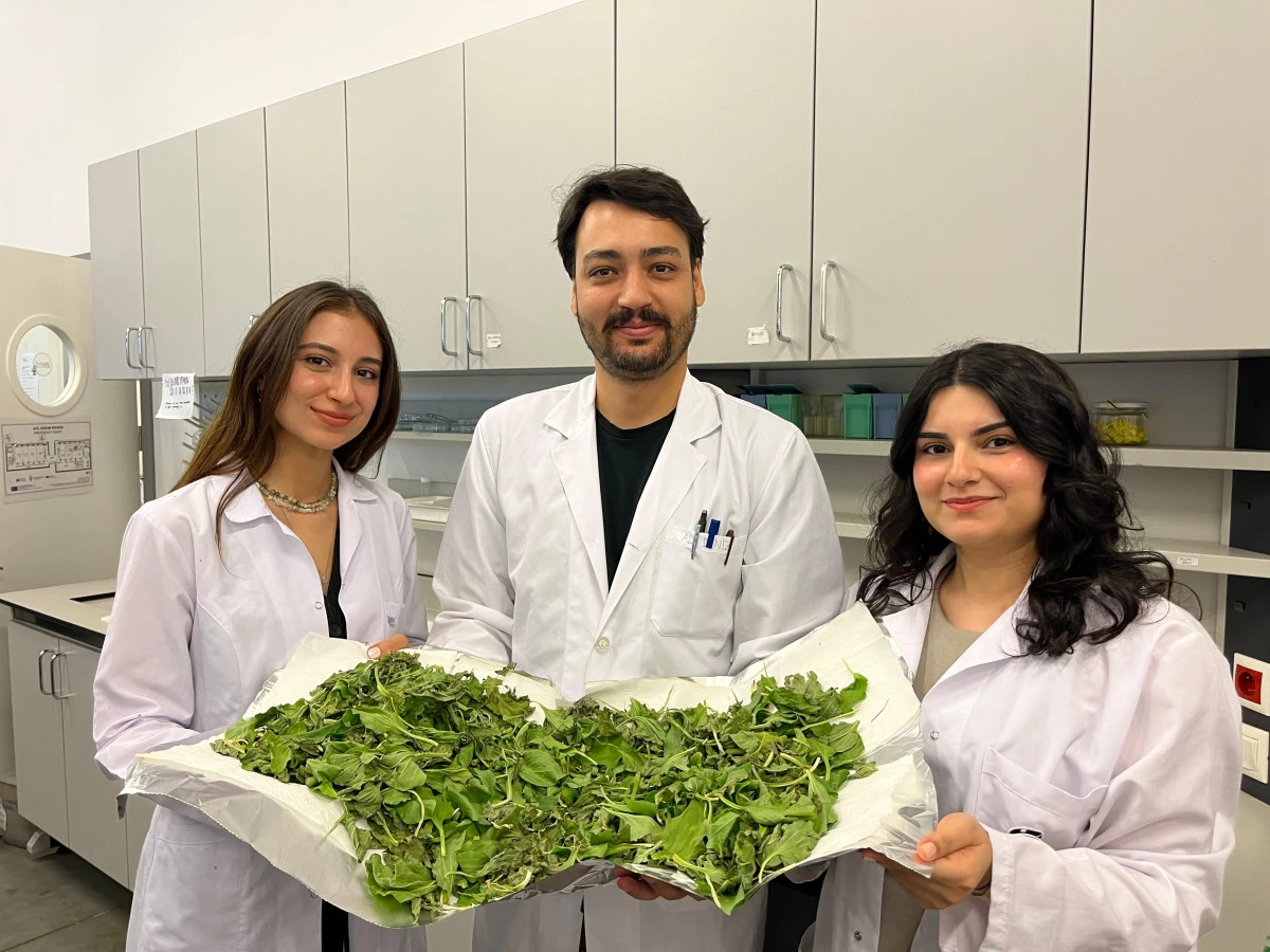 BİLGİ’li Öğrenciler Antibiyotik Direncine Karşı Yenilikçi ve Doğal Bir Yöntem Geliştirdi