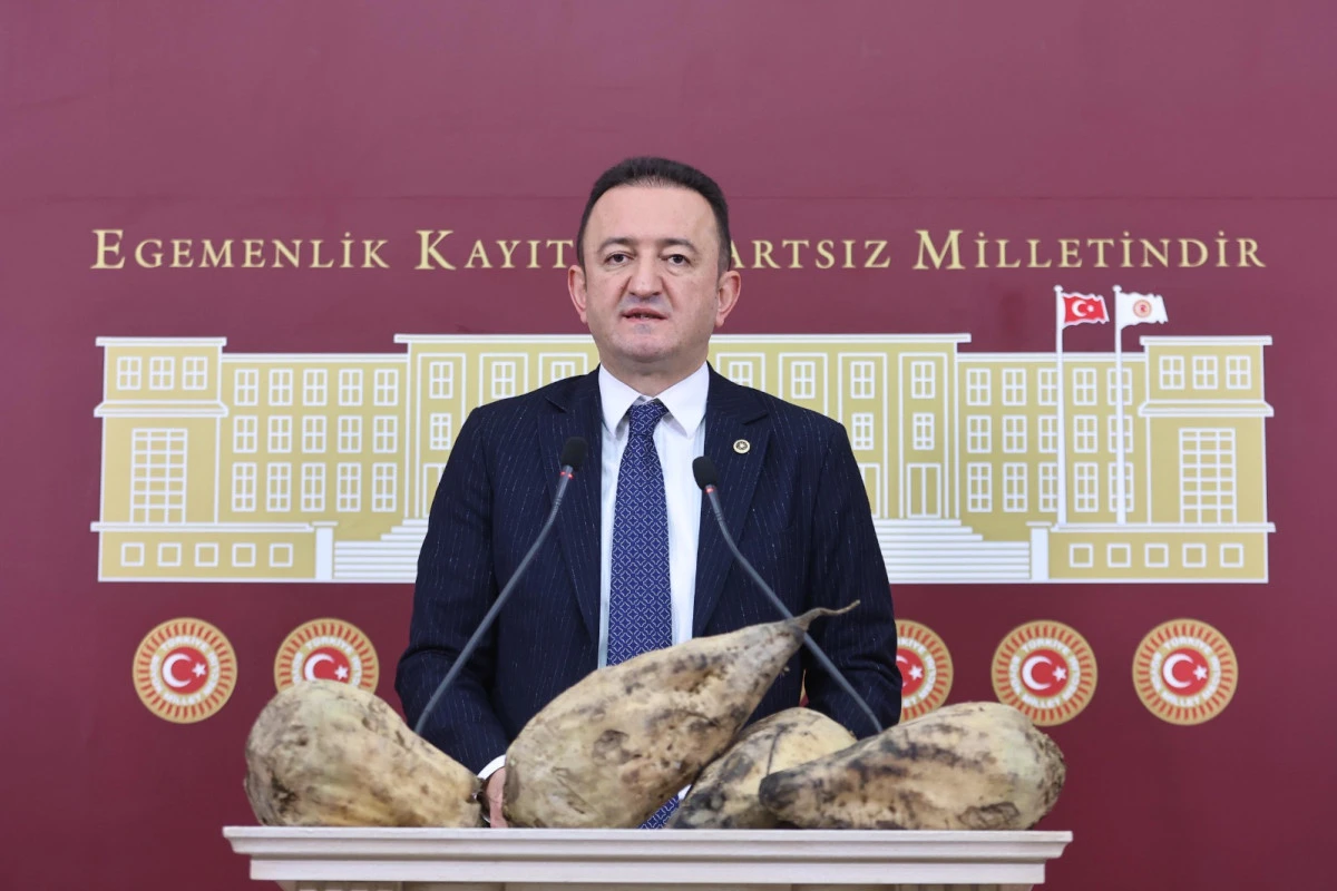 CHP Konya Milletvekili Bektaş’tan iktidara uyarı: Aracı şirketlerin hukuksuz pancar alımlarına göz yummayı bırakın